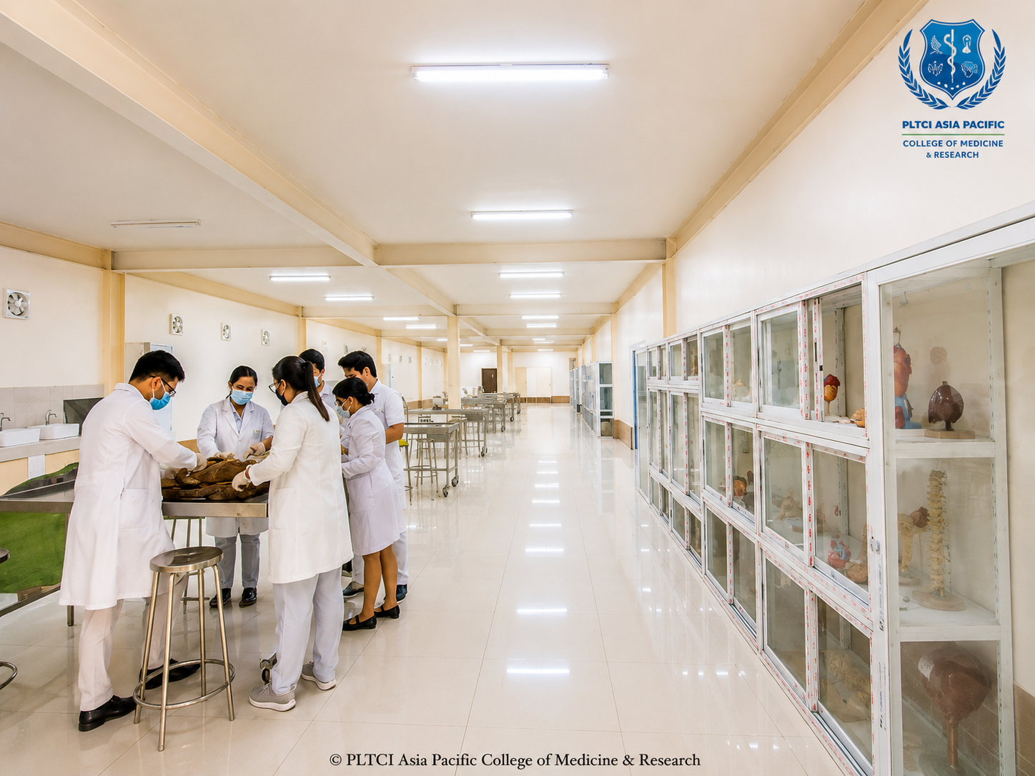 Anatomy dissecting laboratory equipped with dissection tools